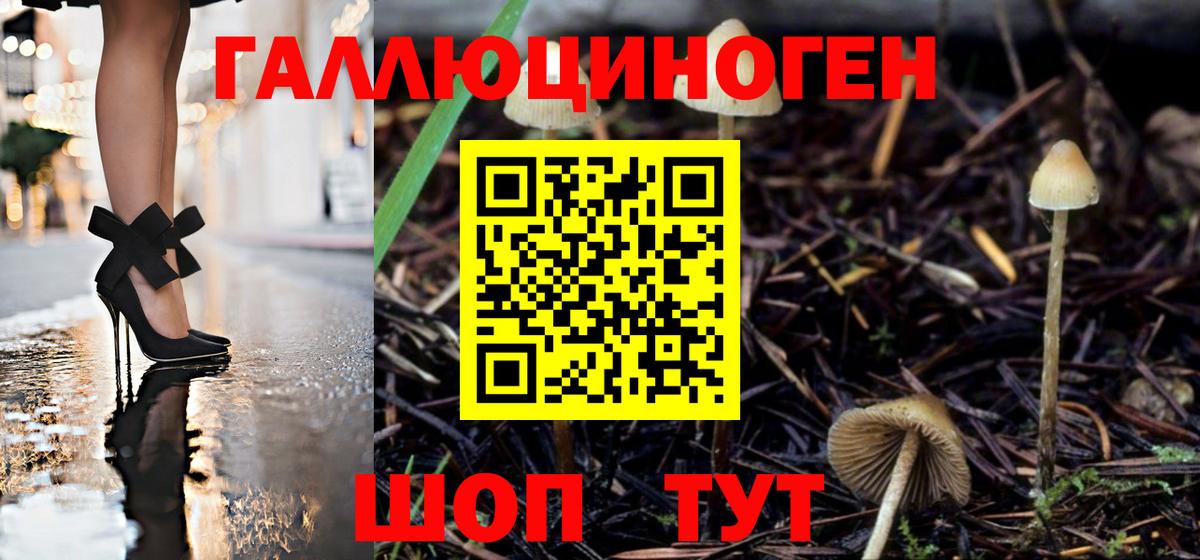 Галлюциногенные грибы ЛСД Мурманск