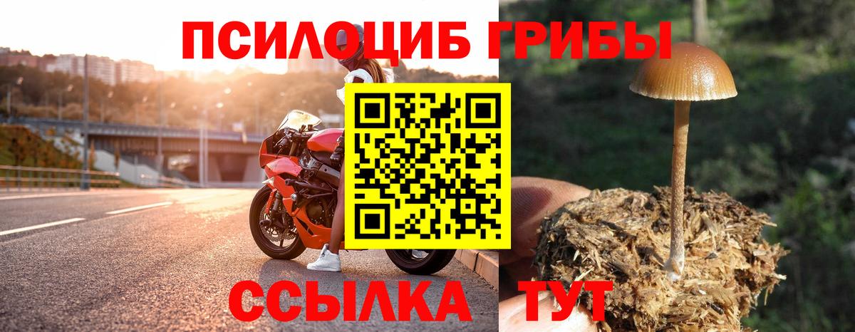 магазин    Вход с VPN  Псилоцибиновые грибы MAGIC MUSHROOMS  Мурманск  Псилоцибиновые грибы Magic Shrooms 